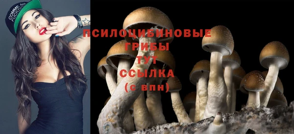спайс Горнозаводск