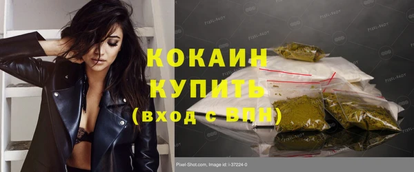 стаф Вяземский