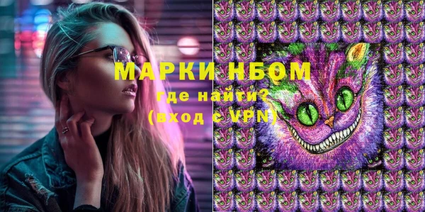стаф Вяземский