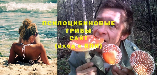 мескалин Горняк