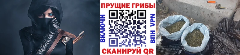 Псилоцибиновые грибы Cubensis  блэк спрут сайт  маркетплейс официальный сайт  купить закладку  Шатура 
