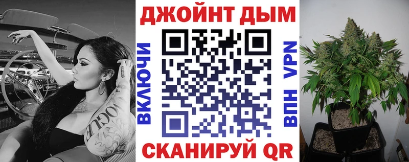 где продают наркотики  Шатура  Канабис план 